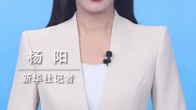 智慧解决方案定制：行业分类与关键考量